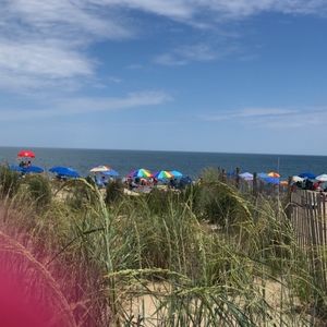 Meet your Posher, Molly p